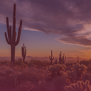 Southwestern US landscape