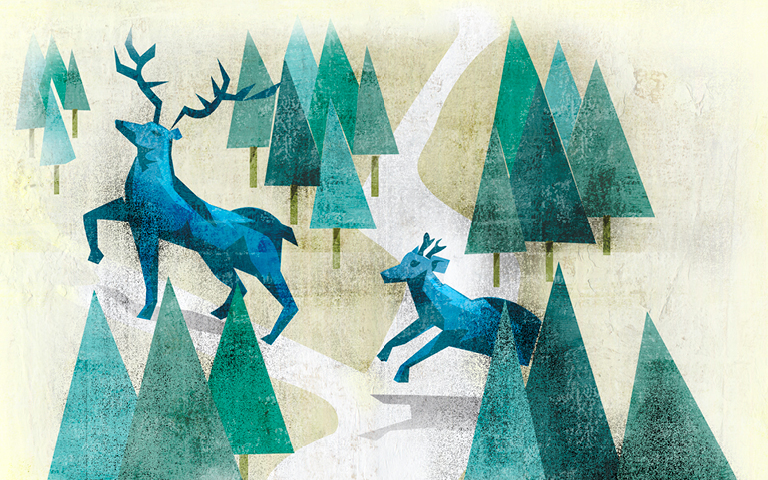 Jan 2020 - Breaking the Mold, small deer following adult deer with antlers