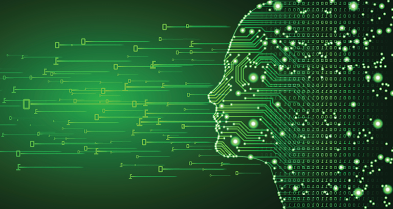 Illustrated profile of head - green - coding numbers