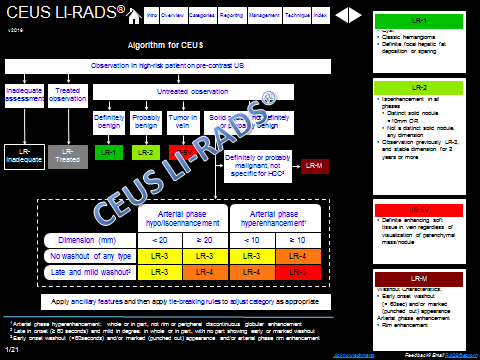 CEUS LIRADS v2016