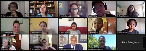 Zoom Screenshot PIER Interns