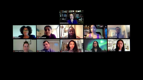 Zoom Screenshot PIER Interns