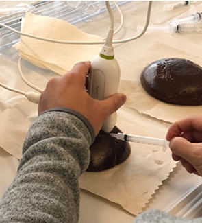 Medical students practice with ultrasound