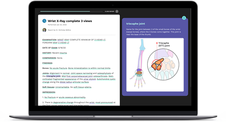 Scanlated patient-friendly reporting tool