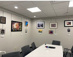 Vanderbilt Radiology Art Gallery