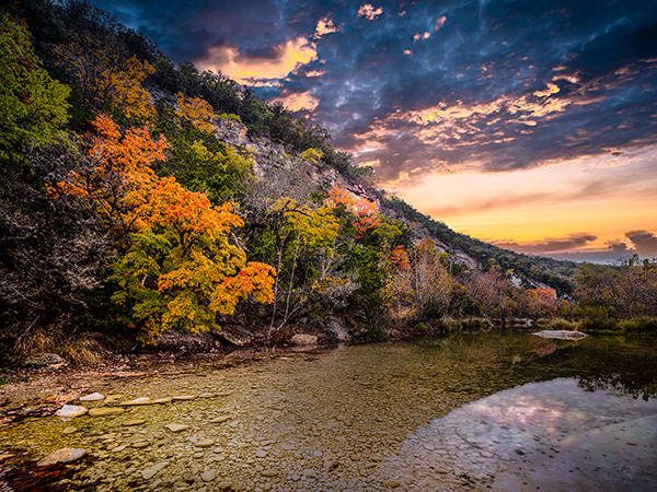 Bigtooth maple trees display autumn foliage near Vanderpool, Texas