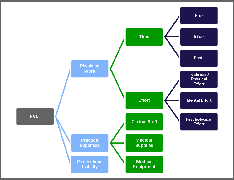 A visual representation of the components of the Relative Value Unit showing Physician Work (composed of Time and Effort) and Practice Expense (composed of Clinical Staff, Medical Supplies and Medical Equipment).